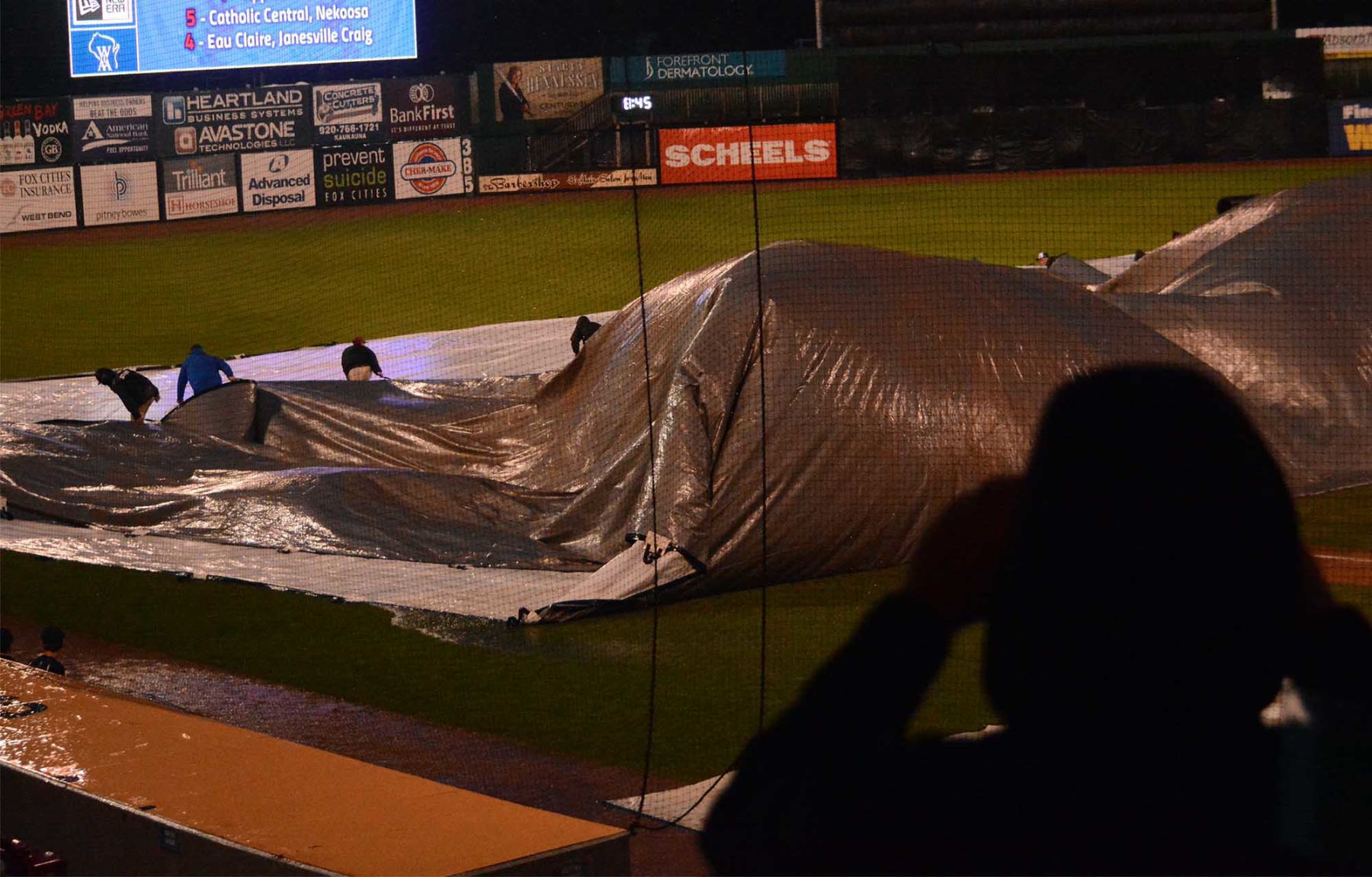 Tarp 2.jpg